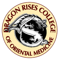 Dragon Rises
