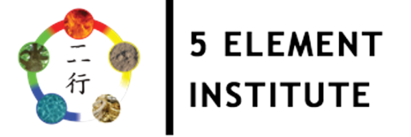 5 element institute logo